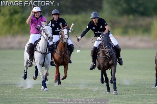 2013-09-14 Audi Polo Gold Cup 0184